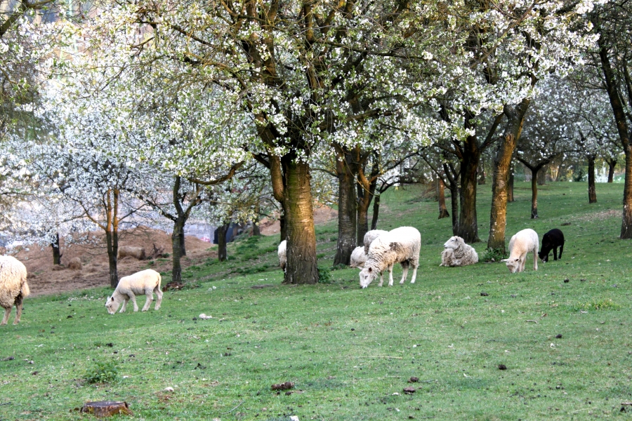 Nové geolokační hry pro cyklisty - to jsou květnové novinky v Orlických horách a Podorlicku