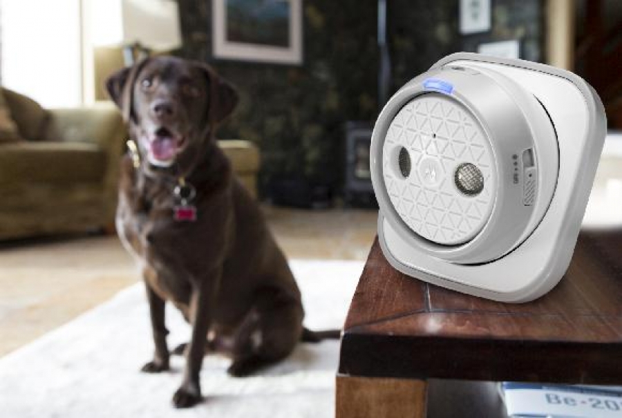 Inovativní pet monitory a ultrasonické obojky pro kontrolu štěkání