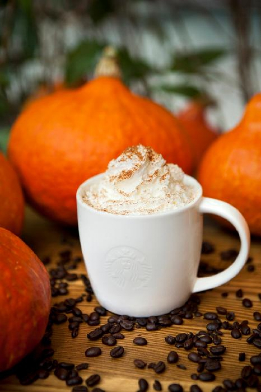 Tradiční podzim ve Starbucks startuje – Pumpkin Spice Latte je zpět!