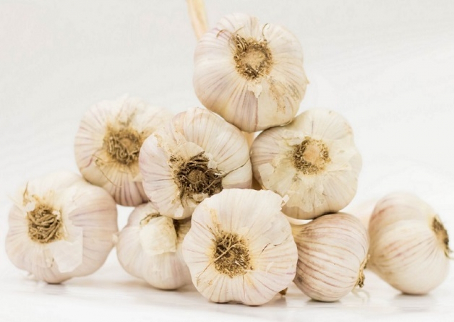 Česnek na žaludek i proti chřipce. Ale jaký? Pozor na rozdíly v původu!