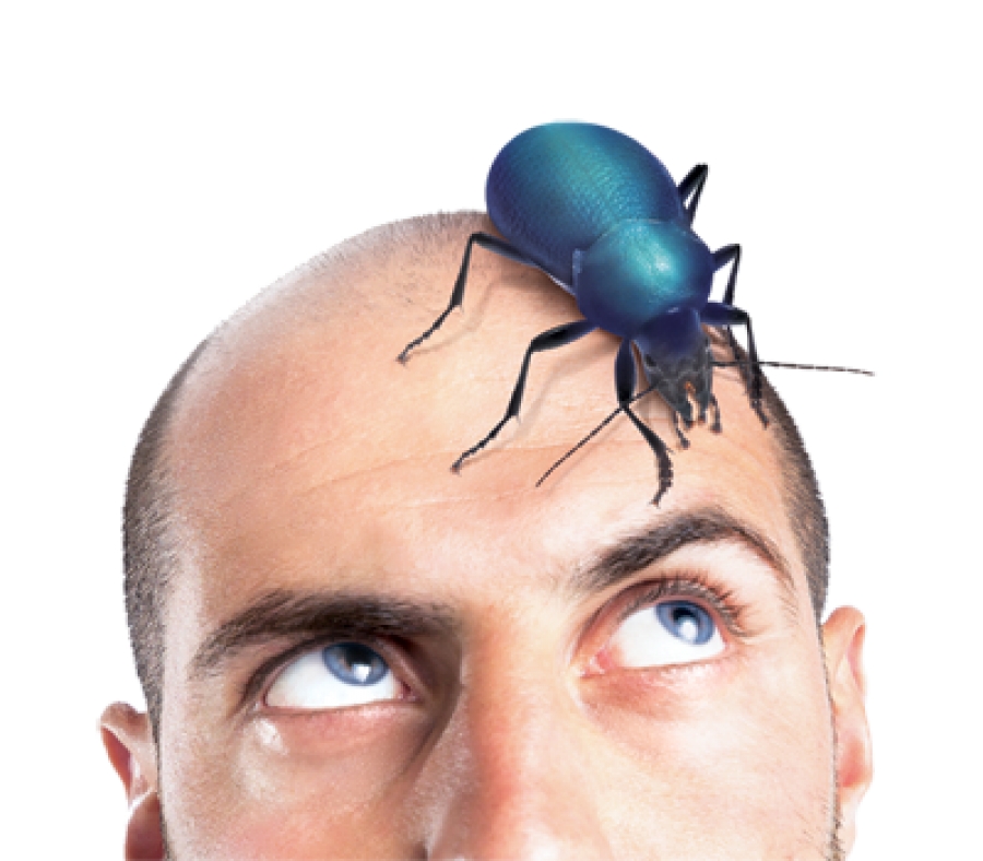 Festival Evolution uvede řadu novinek